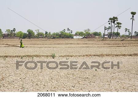Fields In The Barabar Area, Bihar, India View Large Photo Image Stock Image - Fields In The Barabar Area, Bihar, India. Fotosearch