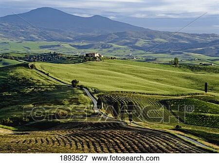 Fields With Farmhouse On Hill Top View Large Photo Image Stock Photo - Fields With Farmhouse On Hill Top. Fotosearch
