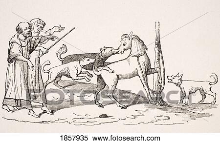 Fight Between Horses And Dogs. 19Th Century Reproduction Of 13Th Century Manuscript View Large Photo Image Stock Photography - Fight Between Horses And Dogs. 19Th Century Reproduction Of 13Th Century Manuscript. Fotosearch