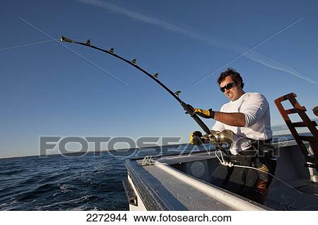 Fighting to reel in a bluefin tuna in the atlantic ocean; canada View Large Photo Image Picture - Fighting to reel in a bluefin tuna in the atlantic ocean; canada. Fotosearch
