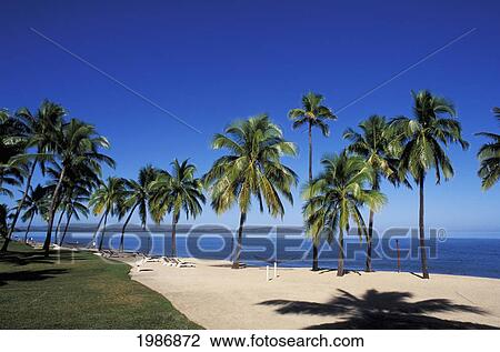 Stock Image - Fiji, Coral Coast, Beautiful Beach With Palm Trees, Blue Ocean And Sky.. Fotosearch