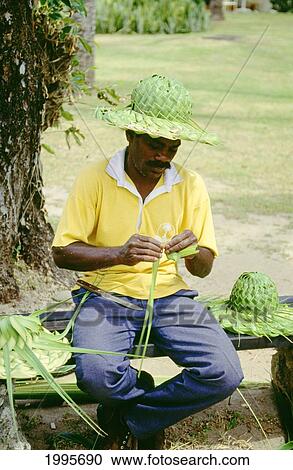 Fiji, Fijian Man Making Hats From Palm Leaves. View Large Photo Image Stock Image - Fiji, Fijian Man Making Hats From Palm Leaves.. Fotosearch