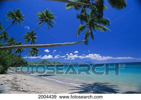 Stock Photo - Fiji, Kadavu Islands, Scenic View Of Turquoise Coastline, Palm Trees And Mountains In Background. Fotosearch
