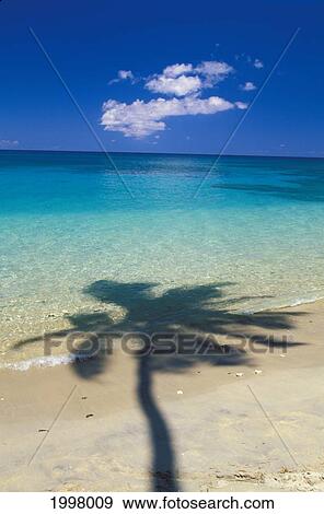 Stock Photo - Fiji, Kadavu Islands, Shadow Of Palm Tree Onto Calm Beach Reef In Distance. Fotosearch