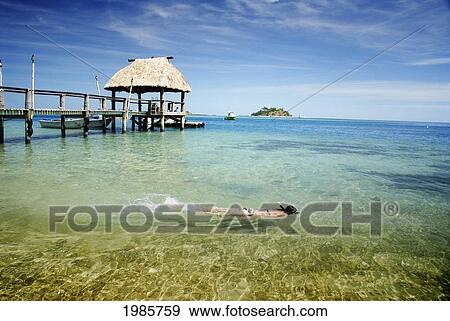 Fiji, Mamanuca Islands, Wadigi Island in distance; Malolo Island, Snorkeler in clear ocean besides pier with fijian style thatched bure roof View Large Photo Image Stock Photo - Fiji, Mamanuca Islands, Wadigi Island in distance; Malolo Island, Snorkeler in clear ocean besides pier with fijian style thatched bure roof. Fotosearch