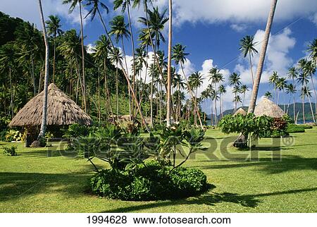 Stock Photo - Fiji, Matangi Island Beach Resort, Bure On Green Grass, Palm Trees. Fotosearch