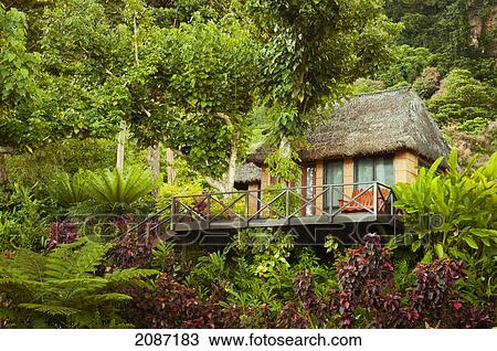 Stock Image - Fiji, Matangi Private Island Resort, Bure guest lodging.. Fotosearch