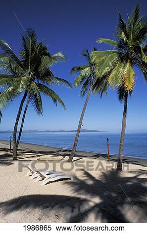 Fiji, Nadi Bay, Sheraton Resort, White Chairs On Sandy Beach, Palm Trees And Shadows. View Large Photo Image Stock Photography - Fiji, Nadi Bay, Sheraton Resort, White Chairs On Sandy Beach, Palm Trees And Shadows.. Fotosearch