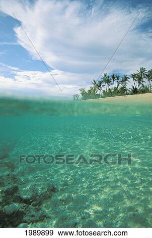Fiji, Tavarua Island, Over/Under Shot In Green Water, Island In Distance. View Large Photo Image Stock Photo - Fiji, Tavarua Island, Over/Under Shot In Green Water, Island In Distance.. Fotosearch