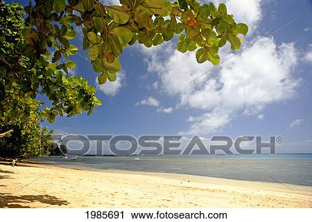 Stock Image - Fiji, Taveuni, Beverly's Beach, White Sand And Clear Ocean Framed By Green Leaves.. Fotosearch