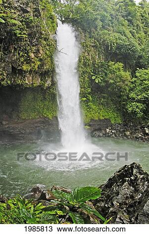 Stock Image - Fiji, Taveuni, Tavoro Waterfall cascading into tropical pool; Bouma National Heritage Park. Fotosearch