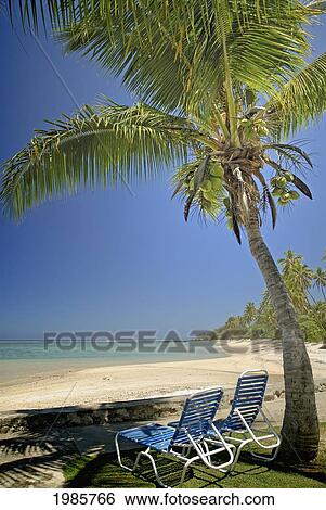 Stock Photograph - Fiji, Viti Levu, Coral Coast, Beach With Two Beachchairs Under A Palm Tree Facing Out Towards Sandy Beach And Ocean.. Fotosearch
