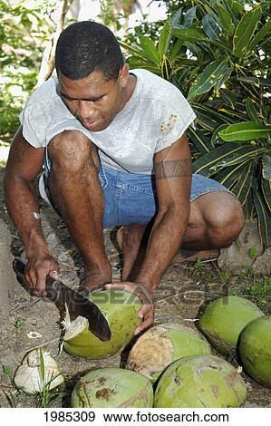 Stock Photo - Fiji, Viti Levu, Coral Coast, Fijian Man Cutting Open Coconuts With A Machete. For Editorial Use Only.. Fotosearch