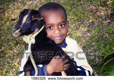 Fiji, Viti Levu, Coral Coast, Fijian Boy Holding A Baby Goat. For Editorial Use Only. View Large Photo Image Stock Photograph - Fiji, Viti Levu, Coral Coast, Fijian Boy Holding A Baby Goat. For Editorial Use Only.. Fotosearch