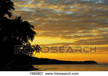 Fiji, Viti Levu, Coral Coast, Orange Sky At Sunrise, Silhouette Of Palm Trees Along The Ocean. View Large Photo Image Stock Photo - Fiji, Viti Levu, Coral Coast, Orange Sky At Sunrise, Silhouette Of Palm Trees Along The Ocean.. Fotosearch