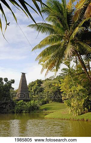 Fiji, Viti Levu, Coral Coast, Pacific Harbor, Tall bure by riverbank; Arts Village View Large Photo Image Stock Photography - Fiji, Viti Levu, Coral Coast, Pacific Harbor, Tall bure by riverbank; Arts Village. Fotosearch