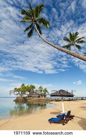 Fiji, Viti Levu Island, Coral Coast, Beach And Wicked Walu Restaurant At Warwick Fiji Resort & Spa. For Editorial Use Only. View Large Photo Image Stock Photo - Fiji, Viti Levu Island, Coral Coast, Beach And Wicked Walu Restaurant At Warwick Fiji Resort & Spa. For Editorial Use Only.. Fotosearch