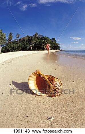 Stock Image - Fiji, Wakaya Island, Woman Walking Background With Shoreline And Shell. Fotosearch