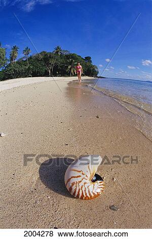 Stock Photo - Fiji, Wakaya Island, Woman Walking Background Shoreline Tropical Beach With Nautilus Shell On Sand (Nautilus Pompilius). Fotosearch