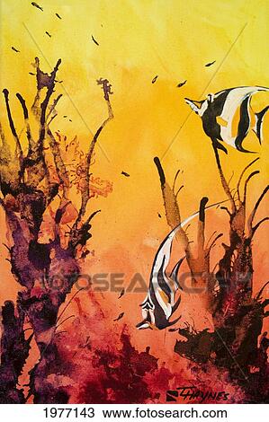 Fijian Friends, Fiji Islands, Somosomo Strait, Rainbow Reef, Moorish Idols Along Reef (Watercolor On Canvas). View Large Photo Image Stock Image - Fijian Friends, Fiji Islands, Somosomo Strait, Rainbow Reef, Moorish Idols Along Reef (Watercolor On Canvas).. Fotosearch