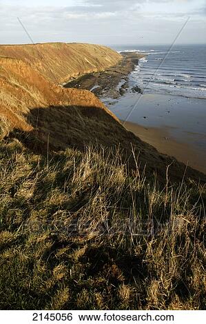 Stock Photograph - Filey Brig, a distinctive feature of the Yorkshire Coast; Filey, Yorkshire, England. Fotosearch