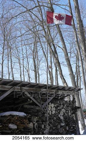 Fire Wood Storage And The Canadian Flag, Trillium Ridge Sugarworks, Shannonville, Ontario View Large Photo Image Stock Photography - Fire Wood Storage And The Canadian Flag, Trillium Ridge Sugarworks, Shannonville, Ontario. Fotosearch