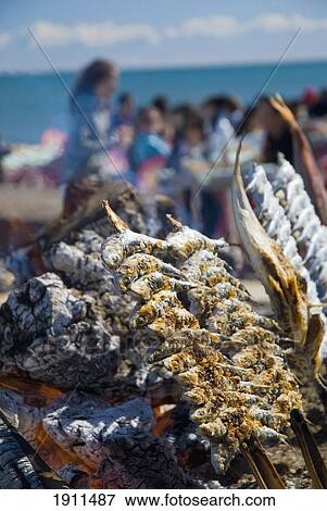 Stock Photo - Fish Being Grilled Over Hot Coals, Outdoors, Malaga, Andalucia, Spain. Fotosearch