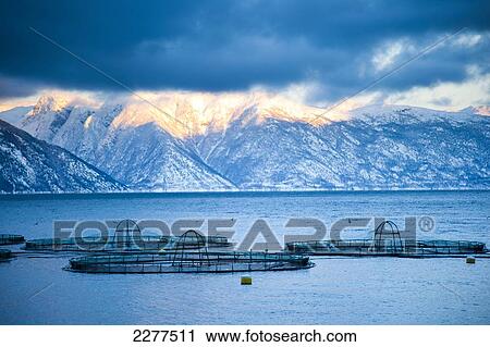 Stock Image - Fish farm in the fjord, near Ortnevik; Sognefjord, Norway. Fotosearch