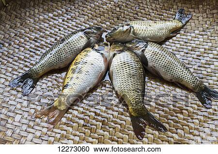 Fish for sale at the Bolu market, Rantepao, Toraja Land, South Sulawesi, Indonesia View Large Photo Image Stock Image - Fish for sale at the Bolu market, Rantepao, Toraja Land, South Sulawesi, Indonesia. Fotosearch