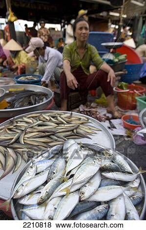 Fish For Sale In Market In Vinh Long, Vietnam. View Large Photo Image Stock Photo - Fish For Sale In Market In Vinh Long, Vietnam.. Fotosearch
