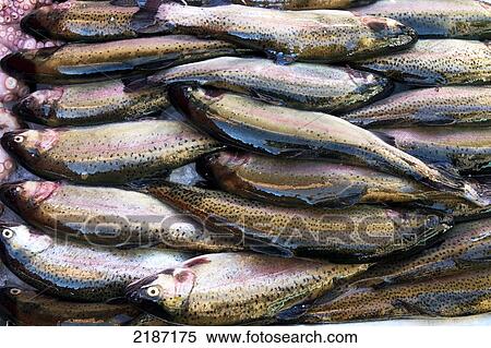 Stock Photography - Fish In The Rialto Food Market Venice, Italy.. Fotosearch