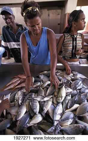 Fish Market In Port Town Mindelo; Mindelo, Cape Verde, Sao Vicente Island, Portugal View Large Photo Image Stock Image - Fish Market In Port Town Mindelo; Mindelo, Cape Verde, Sao Vicente Island, Portugal. Fotosearch