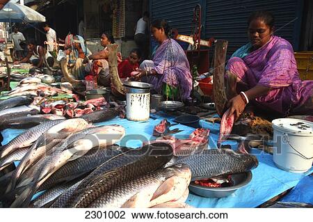 Fish market section next to the enclosed New Market near Sudder Street, a popular backpacker budget accommodation district of Calcutta / Kolkata, the capital of West Bengal State, India, Asia. View Large Photo Image Stock Image - Fish market section next to the enclosed New Market near Sudder Street, a popular backpacker budget accommodation district of Calcutta / Kolkata, the capital of West Bengal State, India, Asia.. Fotosearch