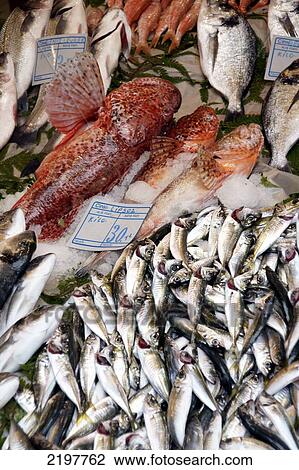 Stock Image - Fish Onsale, Beyoglou, Istanbul, Turkey. Fotosearch