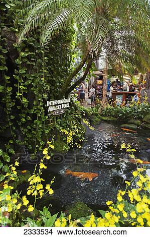 Picture - Fish pond at the International Market Place; Honolulu, Oahu, Hawaii, United States of America. Fotosearch