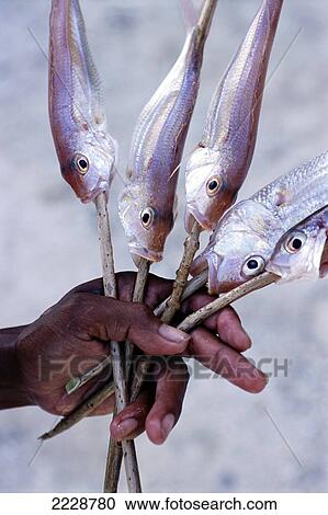 Stock Image - Fish Ready For Barbeque On Beach Photo: Jill Mead/Axiom. Fotosearch