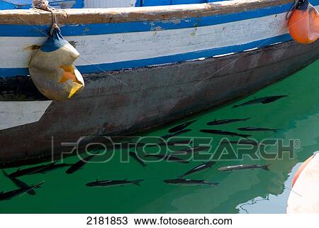 Stock Image - fish, shelter, port, tarifa, andalucia, Spain. Fotosearch