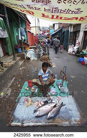 Fish stall in a street market; Kolkata, India View Large Photo Image Stock Photography - Fish stall in a street market; Kolkata, India. Fotosearch