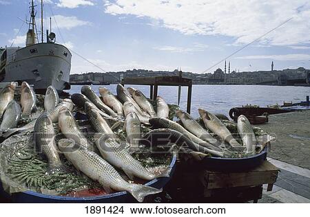 Picture - Fish Stall. Fotosearch