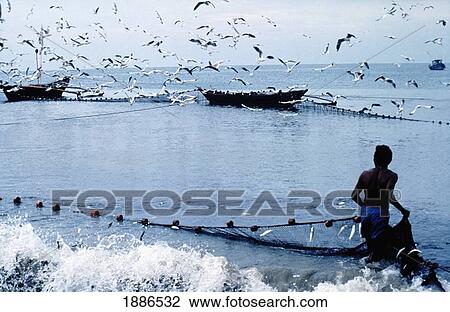 Fisherman Collecting Nets On Beach View Large Photo Image Stock Image - Fisherman Collecting Nets On Beach. Fotosearch