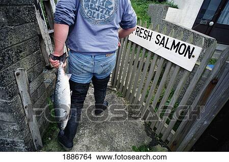 Picture - Fisherman Holding Onto A Salmon As He Enters A Gate. Fotosearch