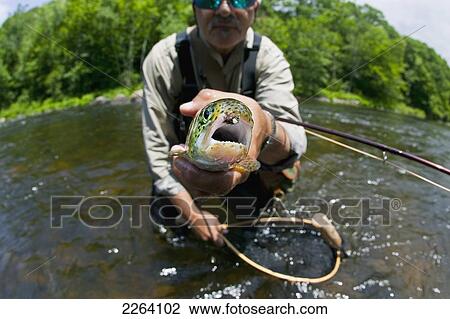 Fisherman Holding Up A Fish; Agawam Massachusetts Usa View Large Photo Image Stock Image - Fisherman Holding Up A Fish; Agawam Massachusetts Usa. Fotosearch