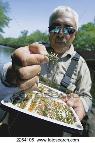 Stock Photography - Fisherman Holding Up Various Lures; Agawam Massachusetts Usa. Fotosearch