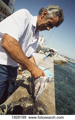 Stock Photo - Fisherman Preparing Octopus In Harbour. Fotosearch