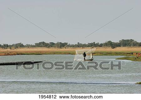 Fisherman throwing a net in the Bani River, Mali View Large Photo Image Stock Image - Fisherman throwing a net in the Bani River, Mali. Fotosearch