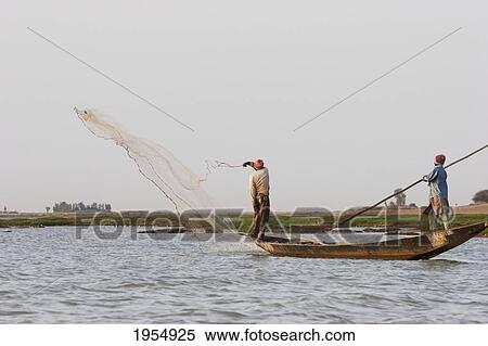 Stock Photography - Fisherman throwing a net into the Niger River between Mopti and Lake Debo, Mali. Fotosearch