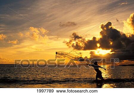 Fisherman Throwing Net At Sunset View Large Photo Image Stock Photo - Fisherman Throwing Net At Sunset. Fotosearch