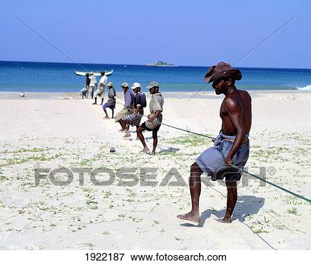 Stock Photo - Fishermen Draw In Nets To The Beach. Fotosearch
