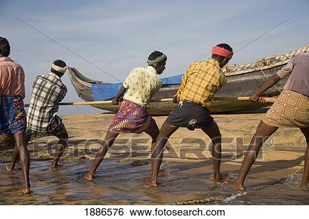 Stock Photograph - Fishermen Pulling Nets On Shore. Fotosearch