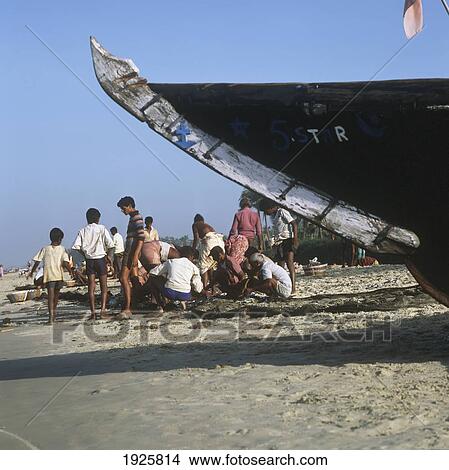 Fishermen Sorting Fish Under Boat View Large Photo Image Picture - Fishermen Sorting Fish Under Boat. Fotosearch